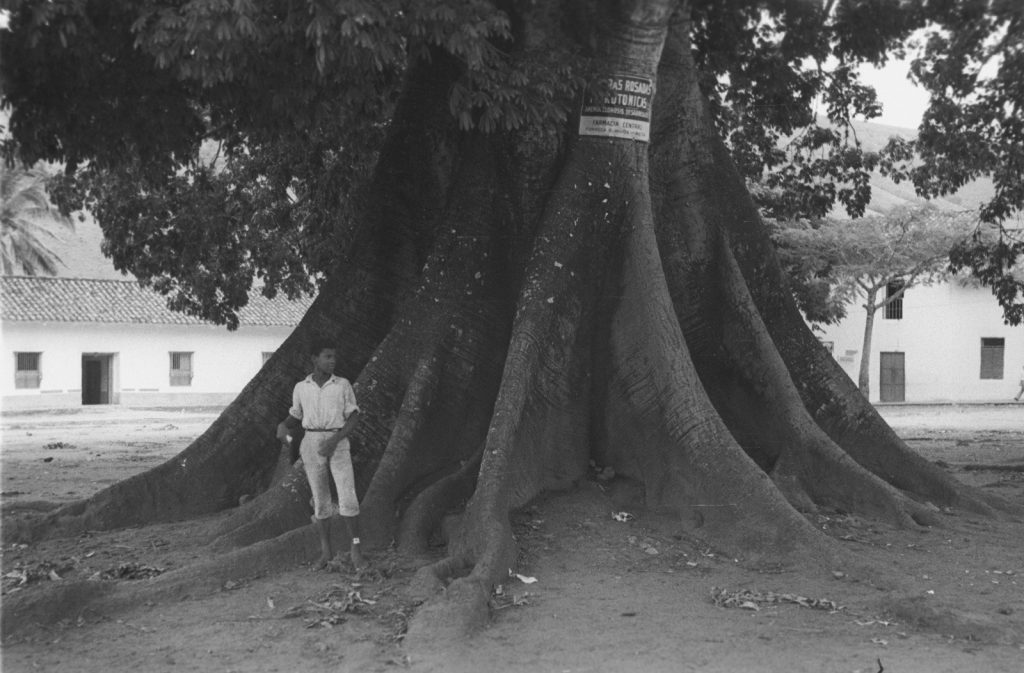 WhatsApp Image 2026-04-20 at 11.10.51 AM (4)