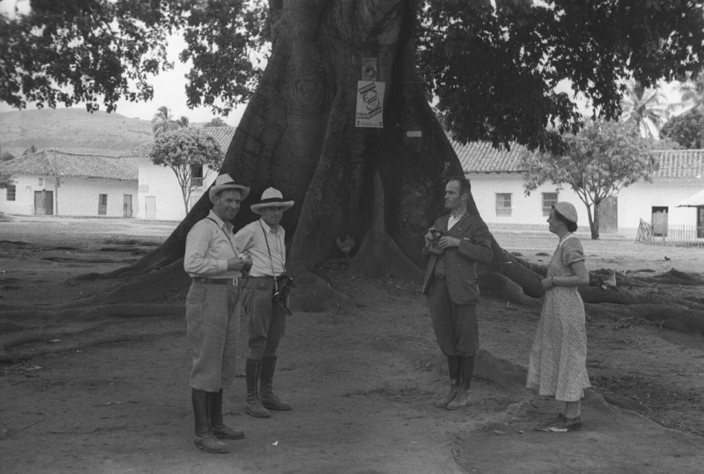 WhatsApp Image 2026-04-20 at 11.10.52 AM (1)