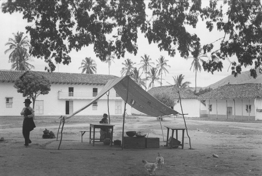 WhatsApp Image 2026-04-20 at 11.10.52 AM