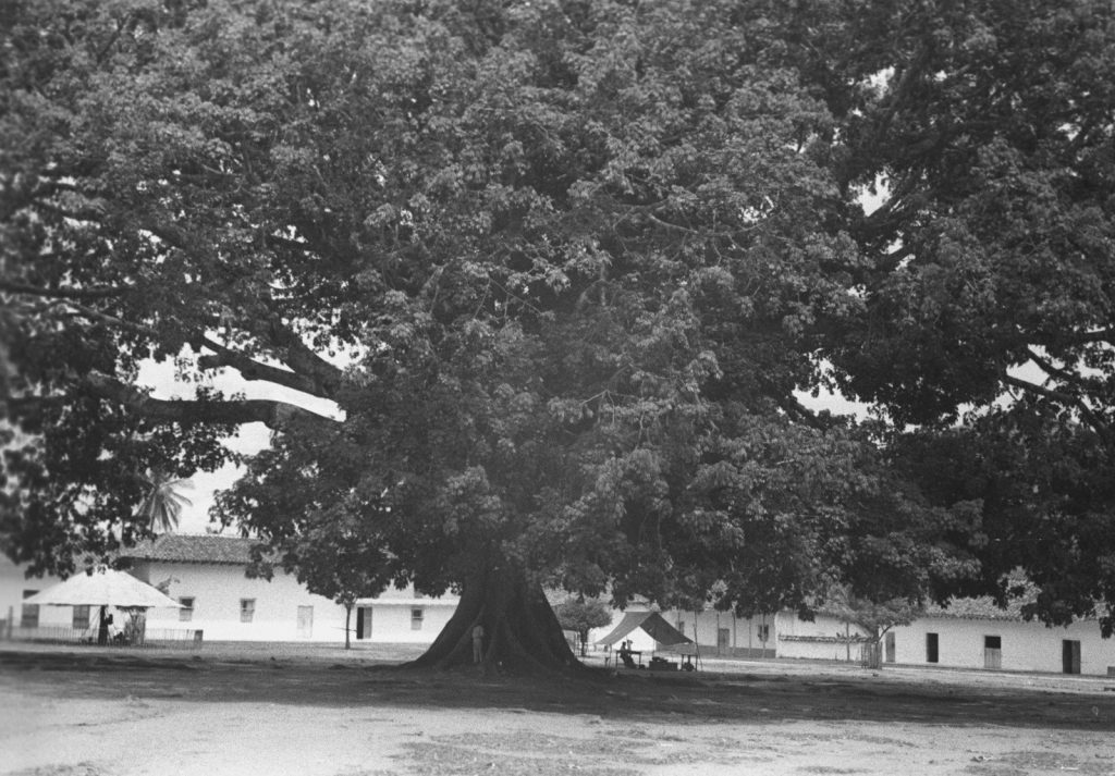 WhatsApp Image 2026-04-20 at 11.10.52 AM (3)