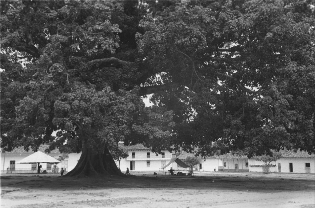 WhatsApp Image 2026-04-20 at 11.10.53 AM (1)