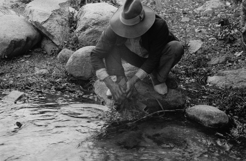 WhatsApp Image 2026-04-20 at 11.10.53 AM (5)