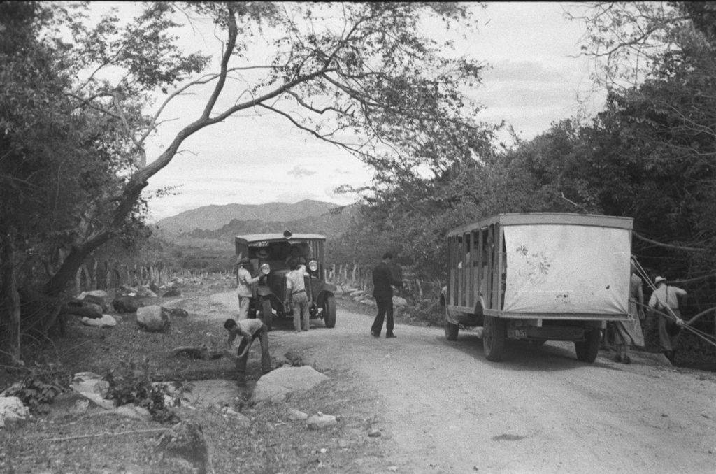 WhatsApp Image 2026-04-20 at 11.10.54 AM (1)