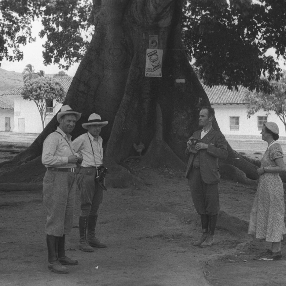 WhatsApp Image 2026-04-20 at 11.10.52 AM (1)